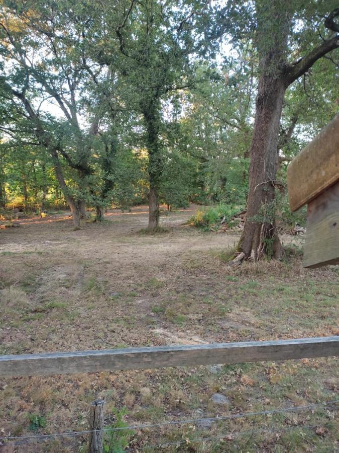 Maisonnette Vue Sur Foret Campagne  Dış mekan fotoğraf